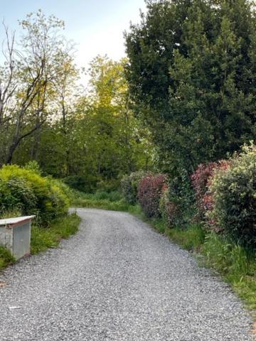 Appartamento Il Picchio Verde Altopascio Eksteriør bilde